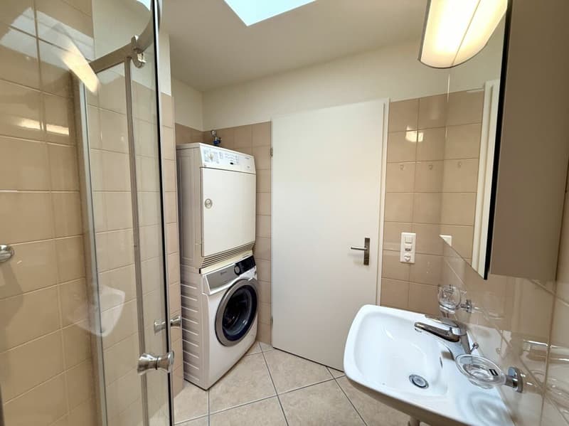 Immediately available - bright attic apartment in Aesch BL (10)