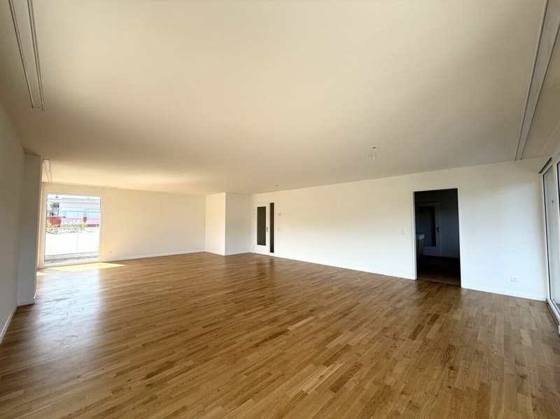 Immediately available - bright attic apartment in Aesch BL (2)