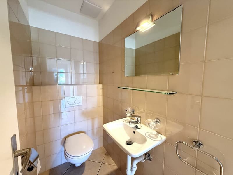 Immediately available - bright attic apartment in Aesch BL (11)