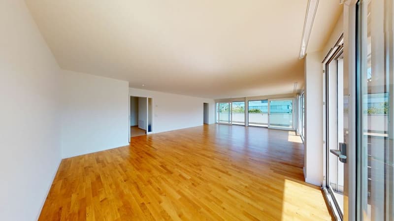Sofort bezugsbereit - helle Attikawohnung in Aesch BL (3)