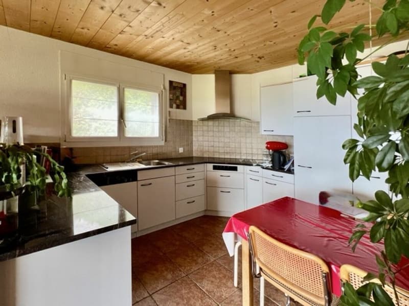 Maison à deux familles avec studio séparé (10)