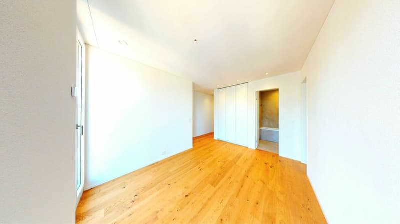 Fall in love! Exclusive new apartment in Killwangen (9)