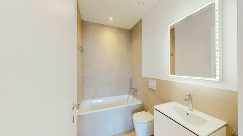 Fall in love! Exclusive new apartment in Killwangen (12)