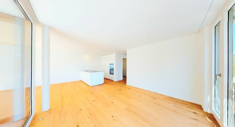 Fall in love! Exclusive new apartment in Killwangen (5)
