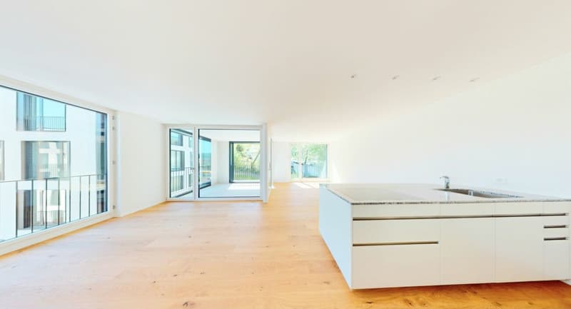Fall in love! Exclusive new apartment in Killwangen (3)