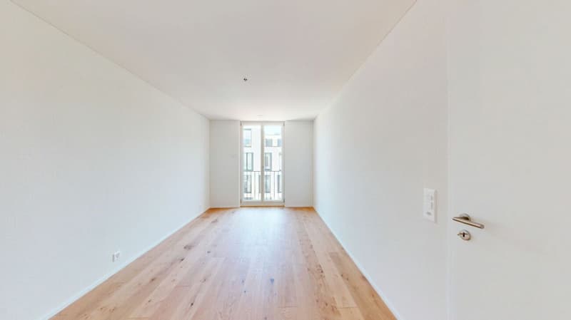 Fall in love! Exclusive new apartment in Killwangen (10)
