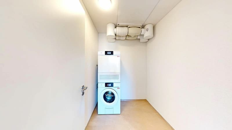 Fall in love! Exclusive new apartment in Killwangen (14)