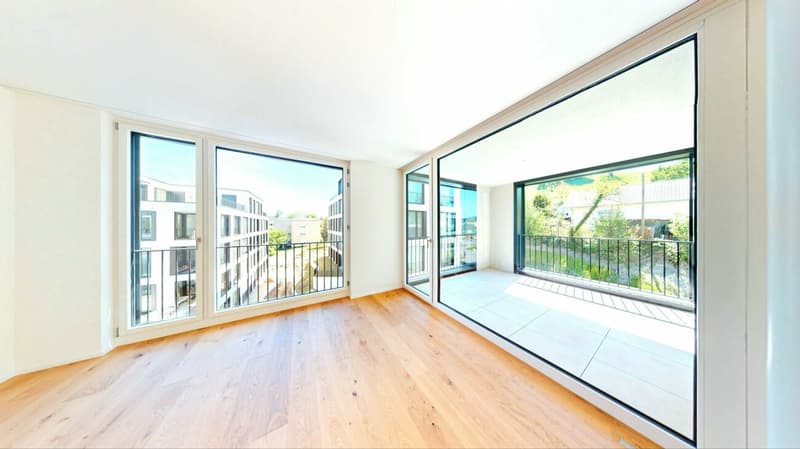 Fall in love! Exclusive new apartment in Killwangen (6)