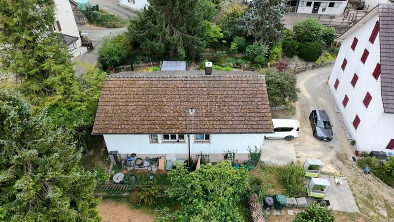 A garden to fall in love with! Detached single-family house with great potential (6)