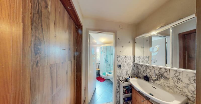 A garden to fall in love with! Detached single-family house with great potential (19)