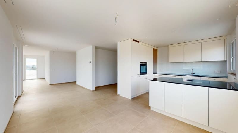 Appartamento attico esclusivo di 3,5 locali in prima occupazione con terrazza soleggiata di 98 m² (2)