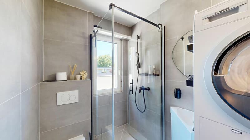 Appartamento in mansarda modernizzato con terrazza 360° da sogno (9)