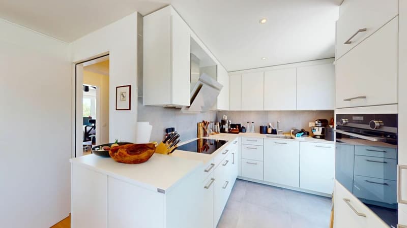 Appartamento in mansarda modernizzato con terrazza 360° da sogno (4)