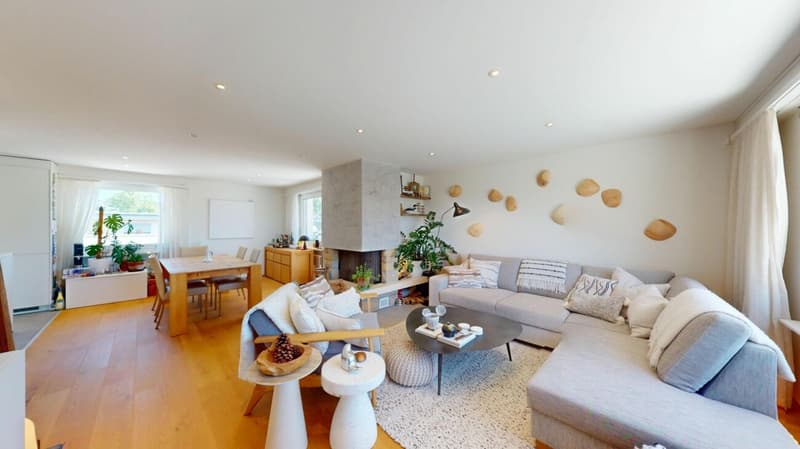 Appartamento in mansarda modernizzato con terrazza 360° da sogno (2)