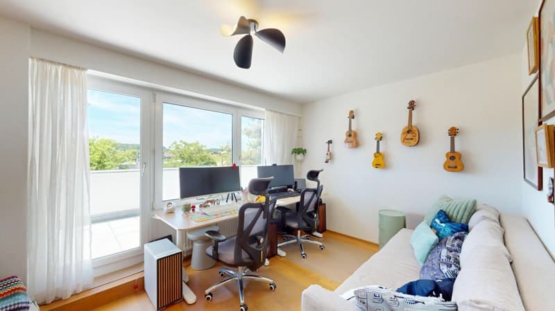 Appartamento in mansarda modernizzato con terrazza 360° da sogno (7)