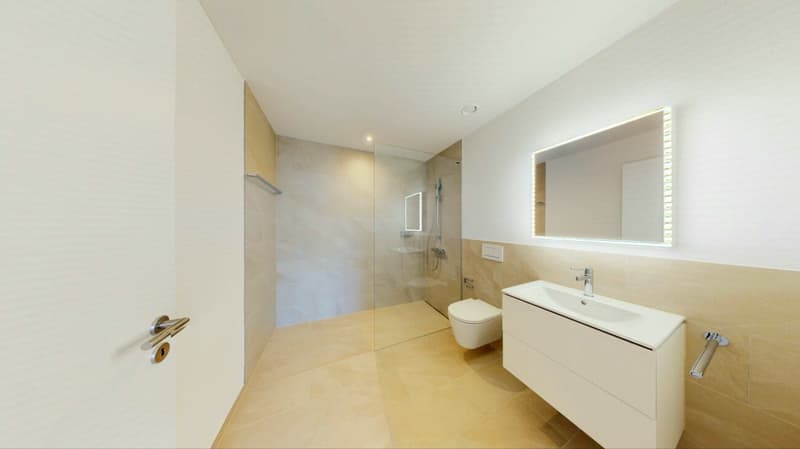 Amour autorisé ! Appartement neuf exclusif à Killwangen (11)