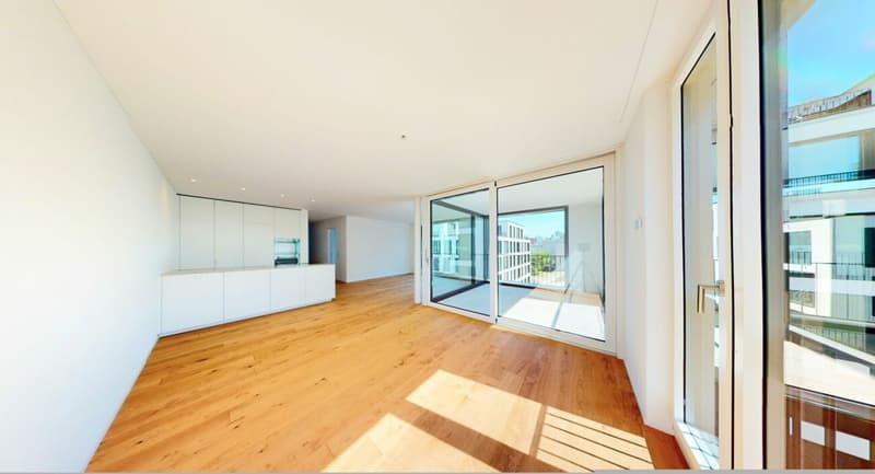 Amour autorisé ! Appartement neuf exclusif à Killwangen (4)