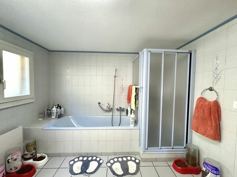 Modernisiertes Einfamilienhaus mit hochwertigem Neubau-Anbau und 3 Einstellplätzen! (16)