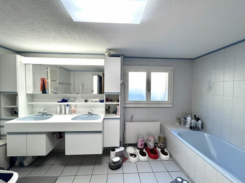 Modernisiertes Einfamilienhaus mit hochwertigem Neubau-Anbau und 3 Einstellplätzen! (15)