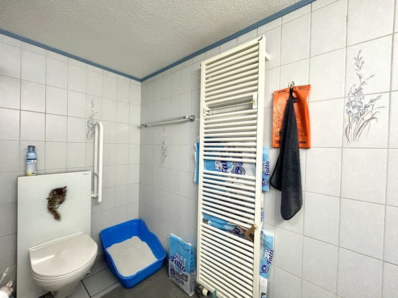 Modernisiertes Einfamilienhaus mit hochwertigem Neubau-Anbau und 3 Einstellplätzen! (17)
