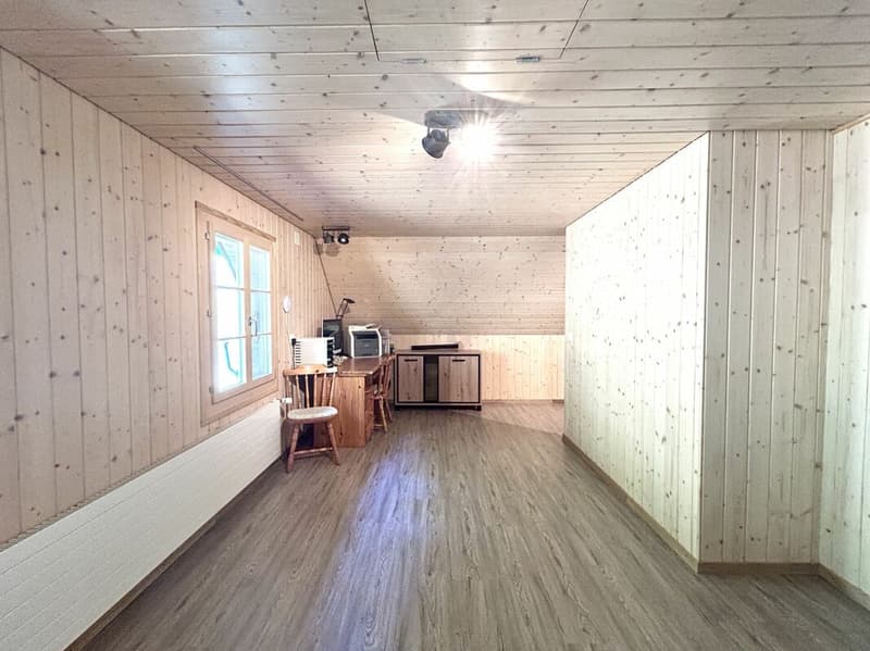 Modernisiertes Einfamilienhaus mit hochwertigem Neubau-Anbau und 3 Einstellplätzen! (8)