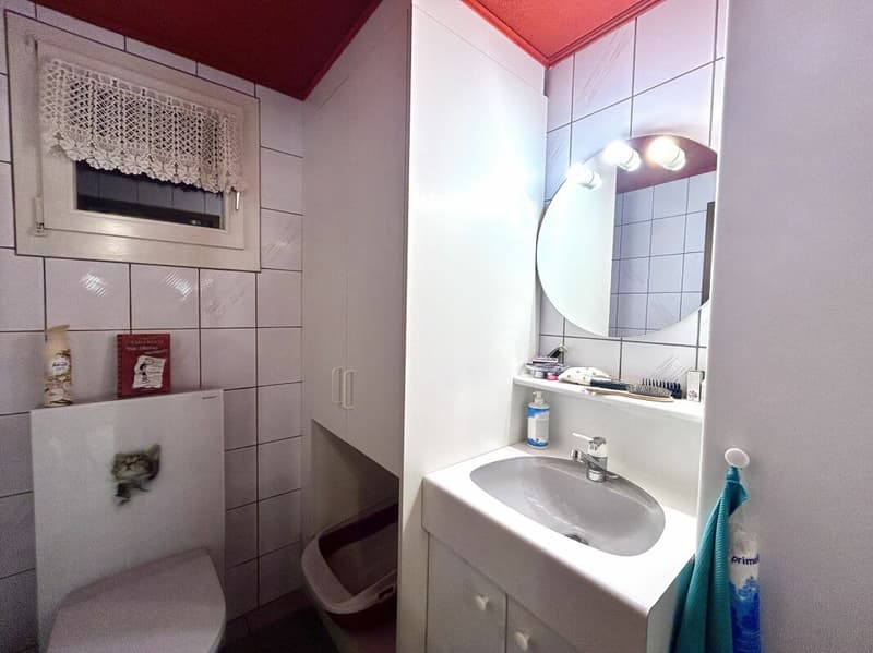 Modernisiertes Einfamilienhaus mit hochwertigem Neubau-Anbau und 3 Einstellplätzen! (18)