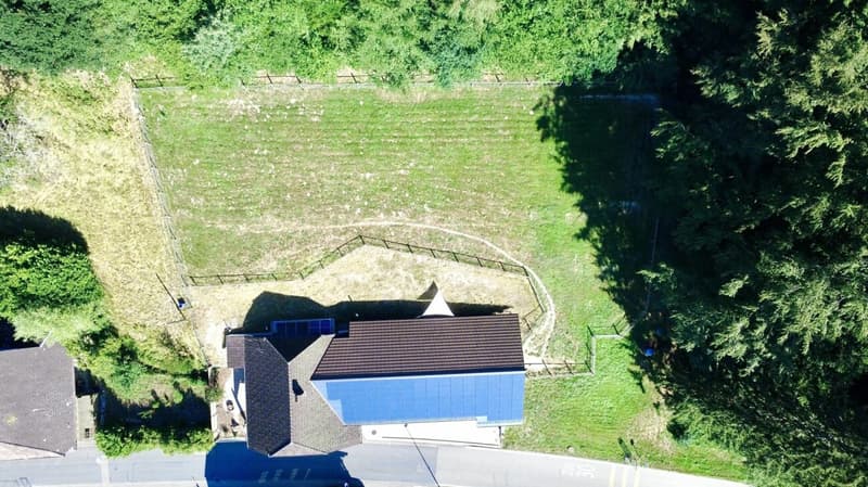 Modernisiertes Einfamilienhaus mit hochwertigem Neubau-Anbau und 3 Einstellplätzen! (21)