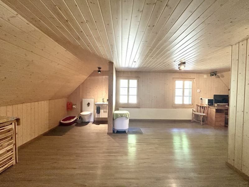 Modernisiertes Einfamilienhaus mit hochwertigem Neubau-Anbau und 3 Einstellplätzen! (9)