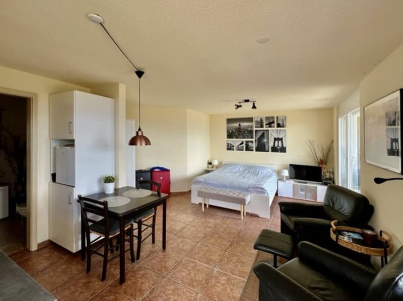 Doppeleinfamilienhaus mit separatem Studio (11)