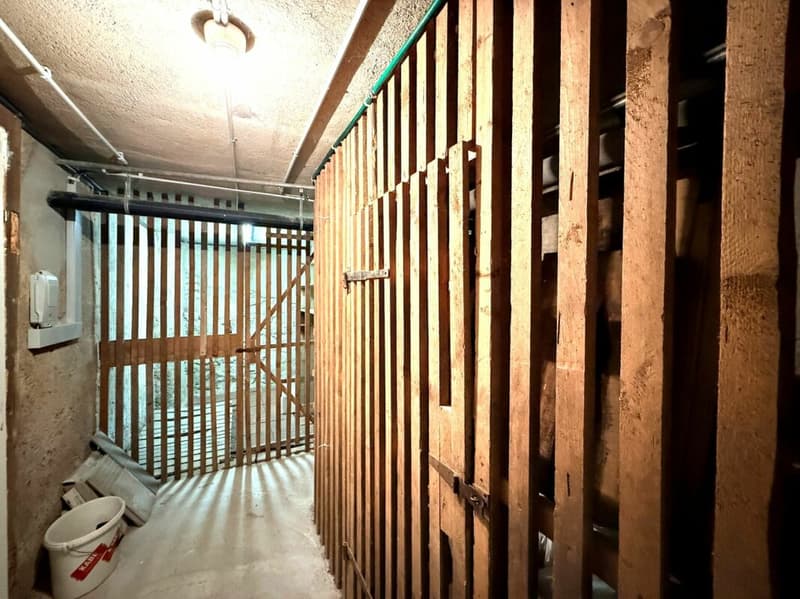 Mehrfamilienhaus mit 4 Wohneinheiten an zentraler Lage in Bellach (19)