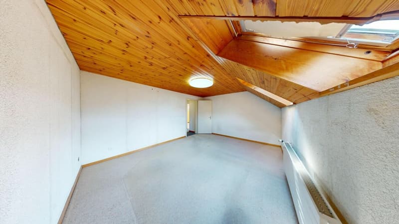 Freistehendes Raumwunder mit grossem Anbau und enormem Potenzial (11)