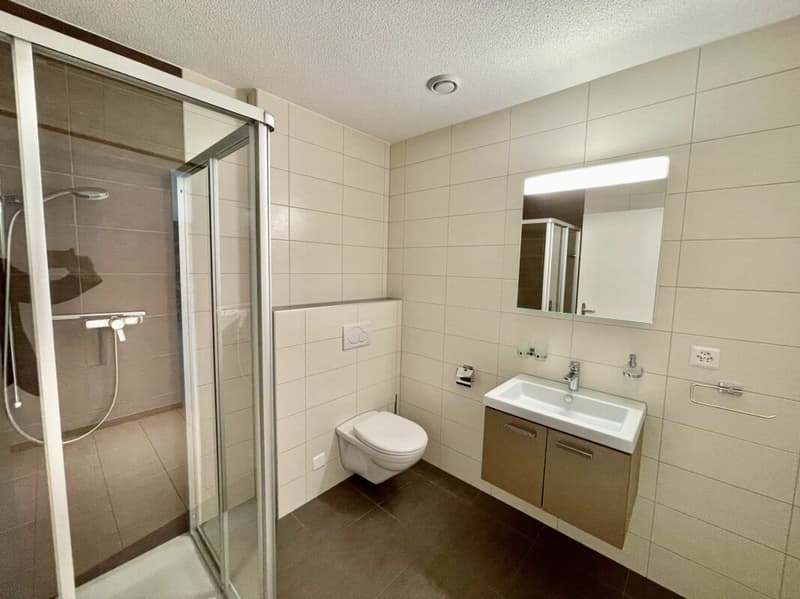 Moderne 4.5 Zimmer Wohnung mit Terrasse & Lift in Luterbach (14)