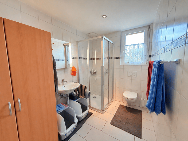 Grosszügige 4.5 Zimmer Wohnung in Aarwangen (10)