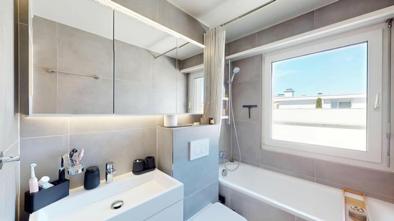 Modernisierte Attikawohnung mit traumhafter 360°-Terrasse (7)