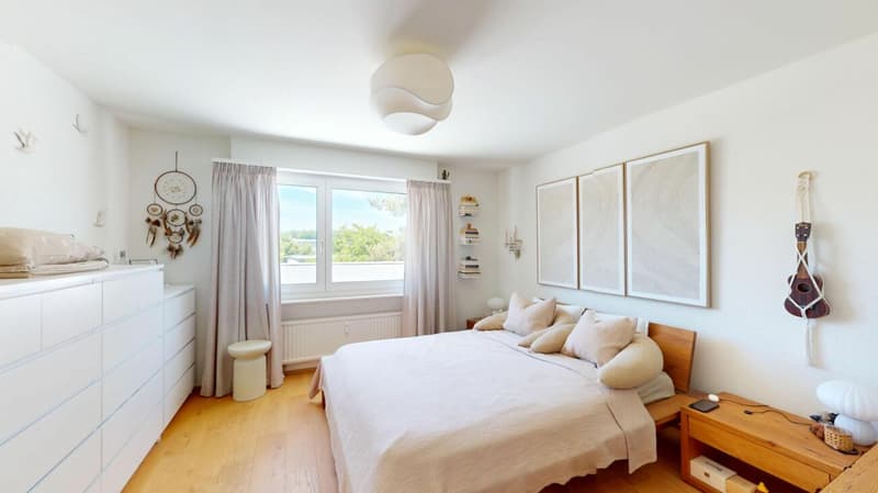 Modernisierte Attikawohnung mit traumhafter 360°-Terrasse (4)