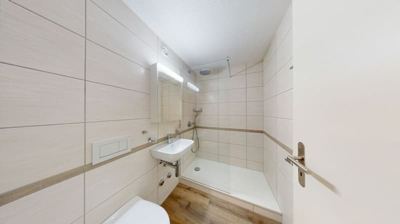 3.5-Zimmer-Wohnung mit grosszügigem Wohnkomfort in Emmen (8)