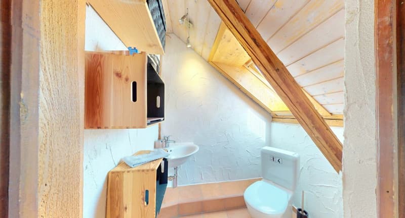 Ein Haus, das Geschichten erzählt! Einzigartiges Wohnerlebnis in Brittnau (10)