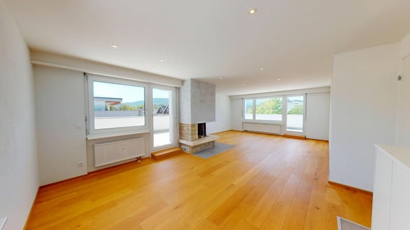 Modernisierte Attikawohnung mit traumhafter 360°-Terrasse (2)