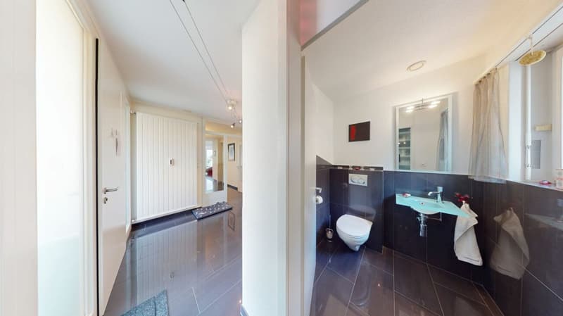 5.5 Zimmer Terrassenwohnung mit Weitsicht in Oensingen (8)
