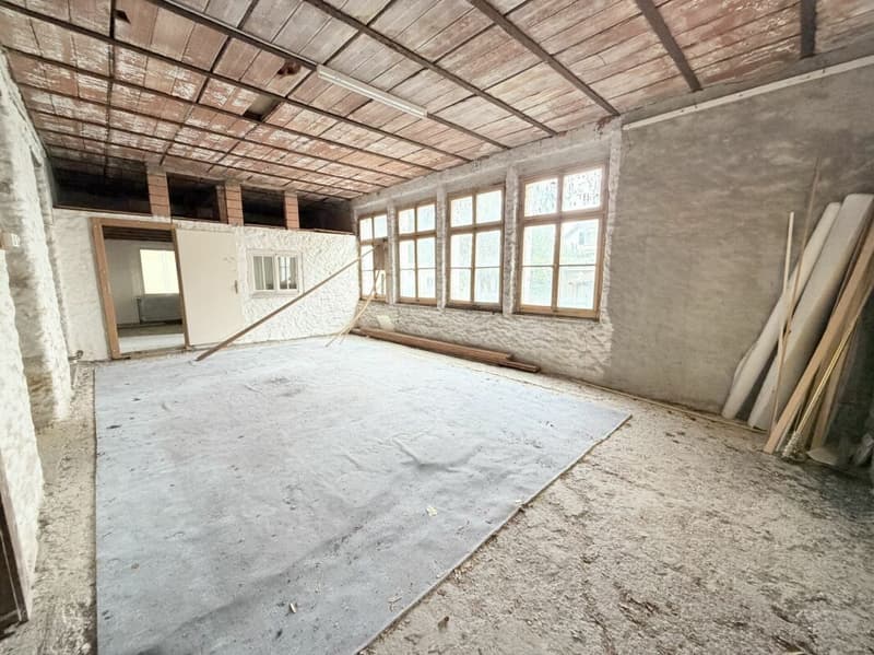 Mehrfamilienhaus mit vielseitigem Entwicklungspotenzial (4)