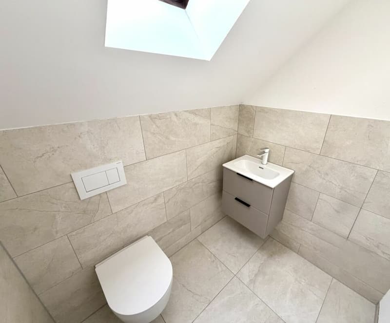 Neuwertige 4.5 Zimmer-Wohnung komplett kernsaniert! (9)