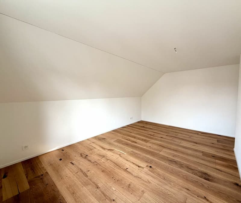 Neuwertige 4.5 Zimmer-Wohnung komplett kernsaniert! (7)