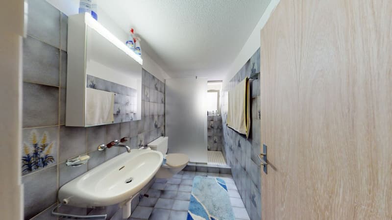 RESERVIERT . Charmantes 5.5 Zimmer Einfamilienhaus mit Alpenblick und traumhaftem Garten (12)