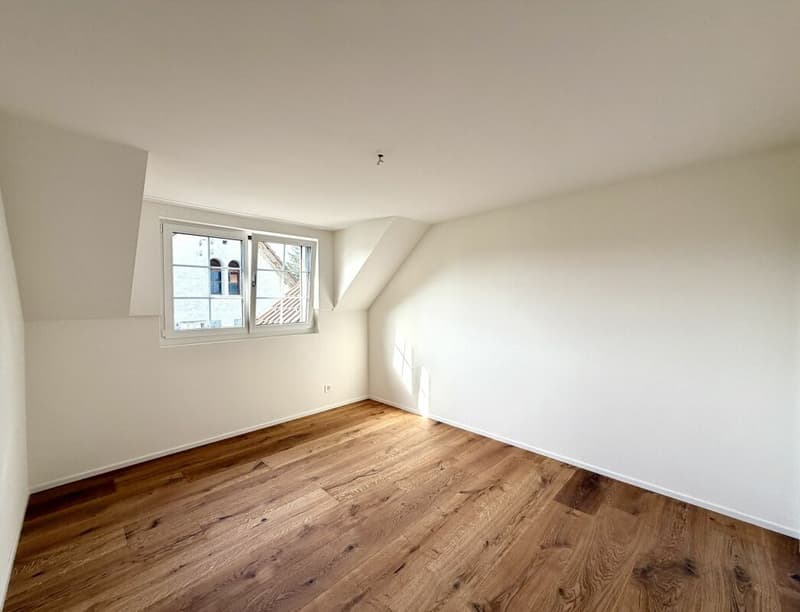 4.5 Zimmer-Wohnung komplett kernsaniert in Birr! (4)