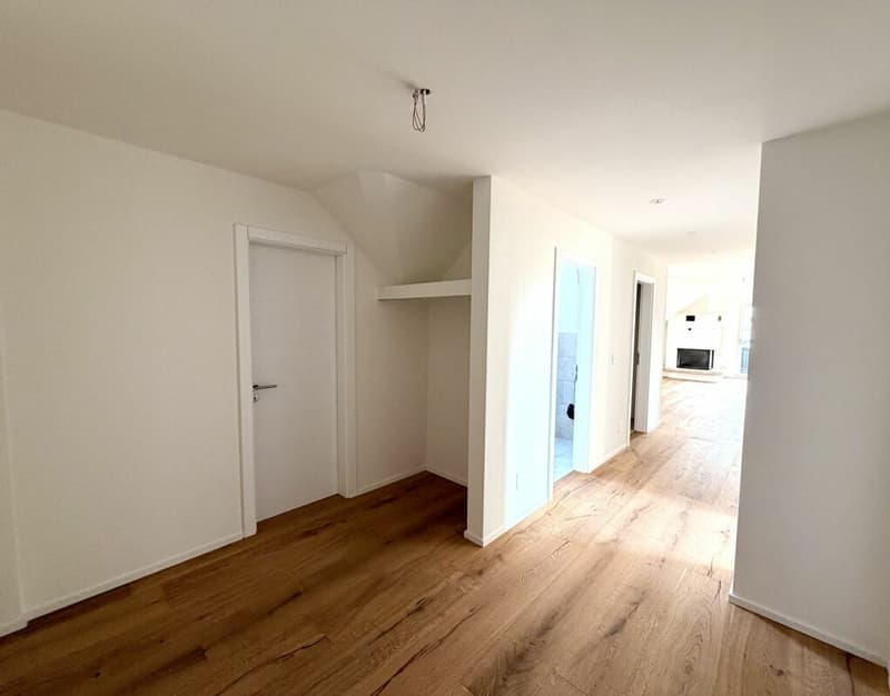 4.5 Zimmer-Wohnung komplett kernsaniert in Birr! (8)