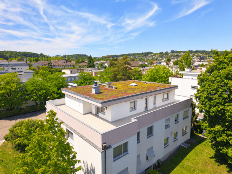 Modernisierte Attikawohnung mit traumhafter 360°-Terrasse (1)