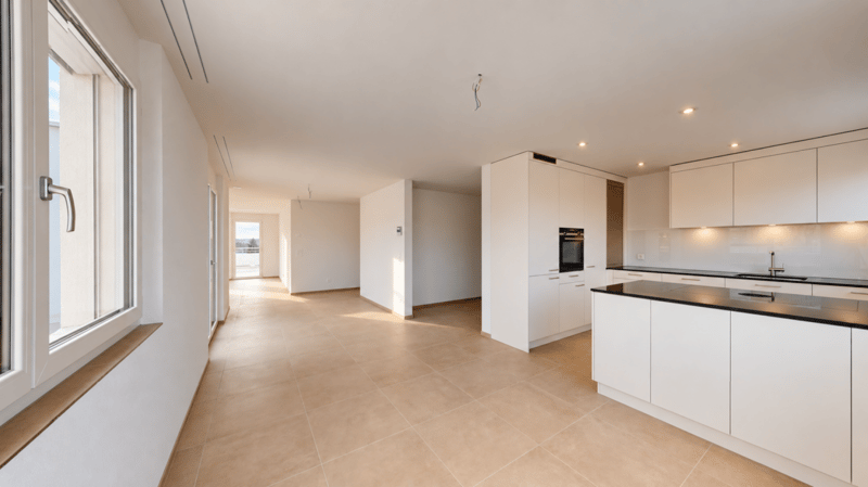 Exklusive 3.5-Zimmer-Attikawohnung im Erstbezug mit 98 m² Sonnenterrasse (2)