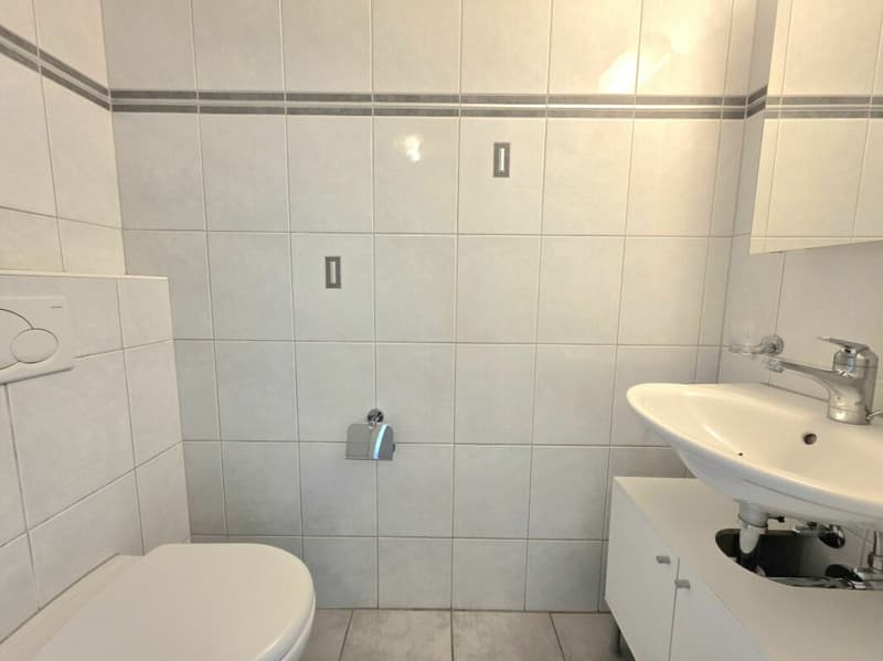 Ihr neues Familienglück, grosszügiges 5.5 Zimmer Eckhaus mit privatem Garten! (20)