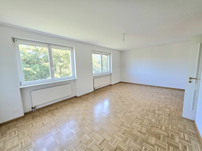 Ihr neues Familienglück, grosszügiges 5.5 Zimmer Eckhaus mit privatem Garten! (15)