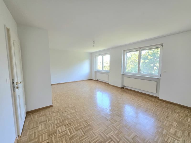 Ihr neues Familienglück, grosszügiges 5.5 Zimmer Eckhaus mit privatem Garten! (14)